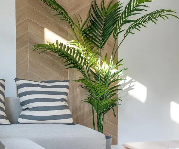 Lovag 12 Terrace Designer *
